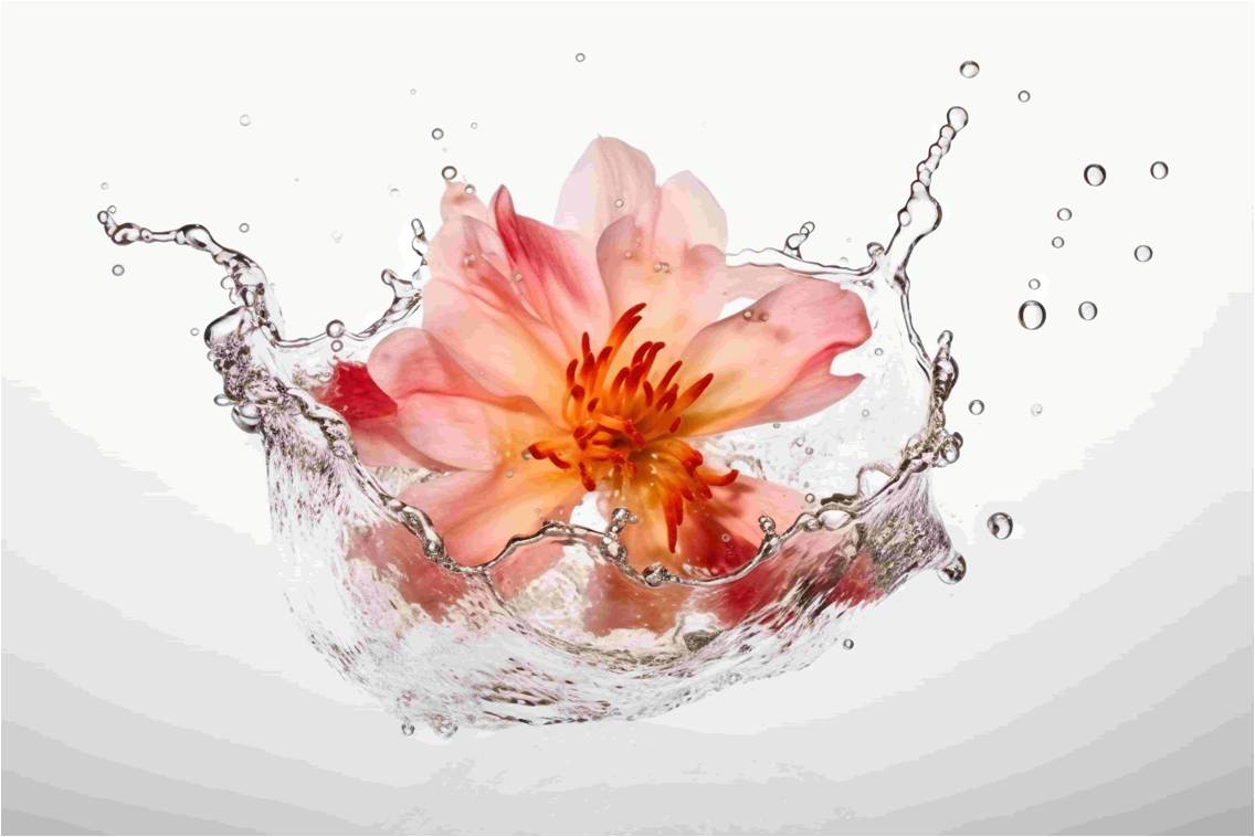 花水 (flower water)