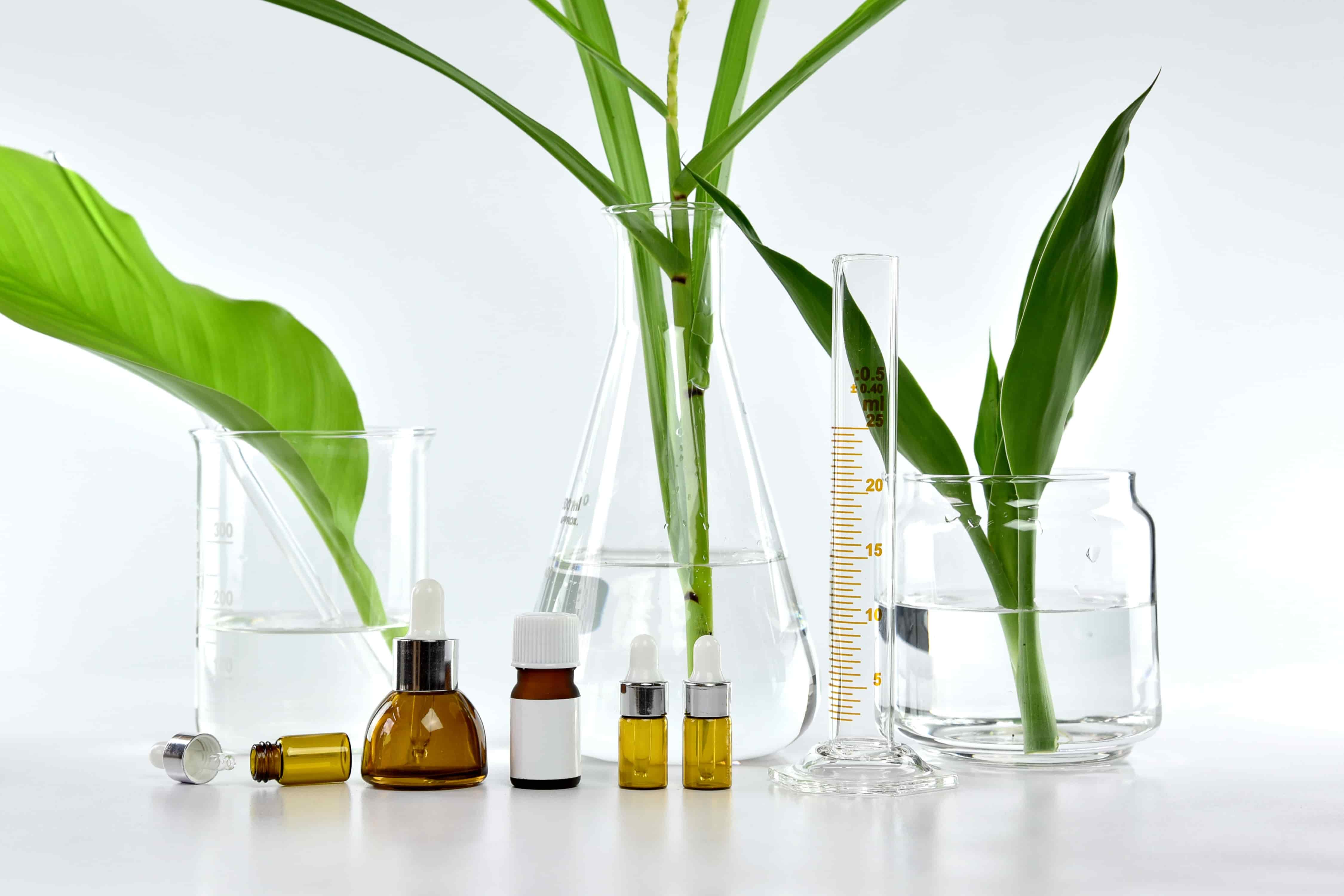 漢方等植物萃取 (Kampo herbs and other plant extracts)